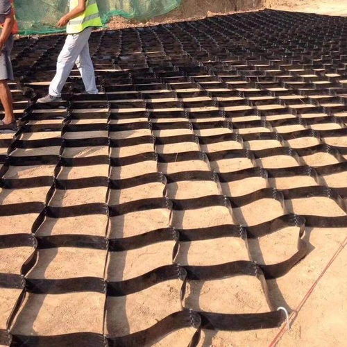 廣西百色田陽三維土工網(wǎng)墊廠家 集團(tuán)實(shí)業(yè)公司格室的創(chuàng)新與應(yīng)用