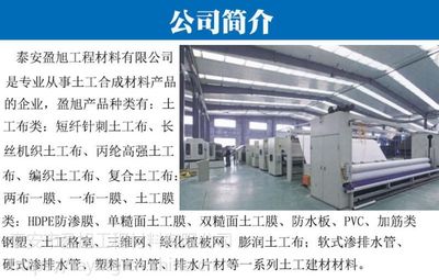 山東盈旭廠家 三維植被網與土工網墊的生態綠化解決方案