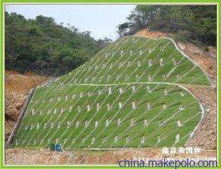 鹽城護(hù)坡土工網(wǎng)產(chǎn)品促銷精選圖集與泰安鑫海PE膜專業(yè)解析